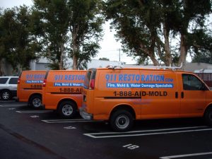 911-Restoration-Vans-Water-damage-remediation-mold-removal